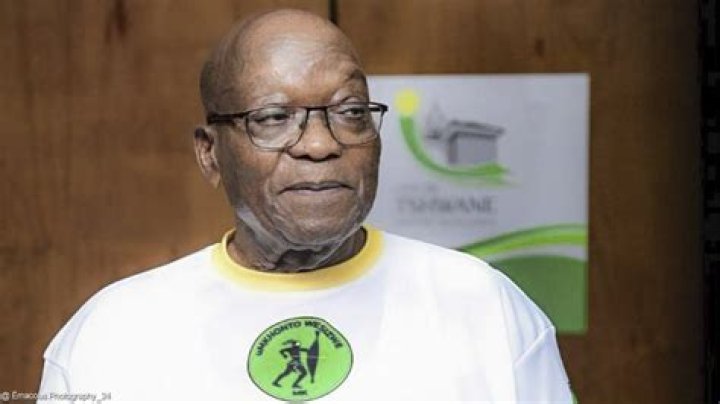 Exploring Jacob Zuma's Net Worth In 2024: A Comprehensive Insight